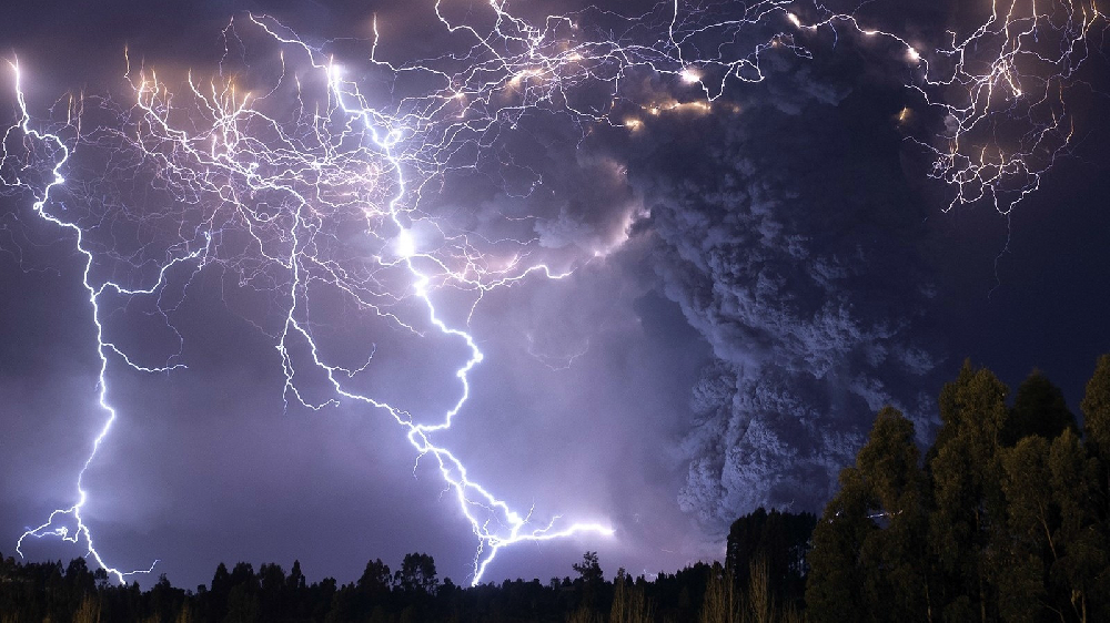 鉴黑担保网简介